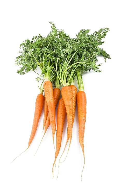 Farmers Market Locally Grown Carrots, Orange Organic, 1 bunch