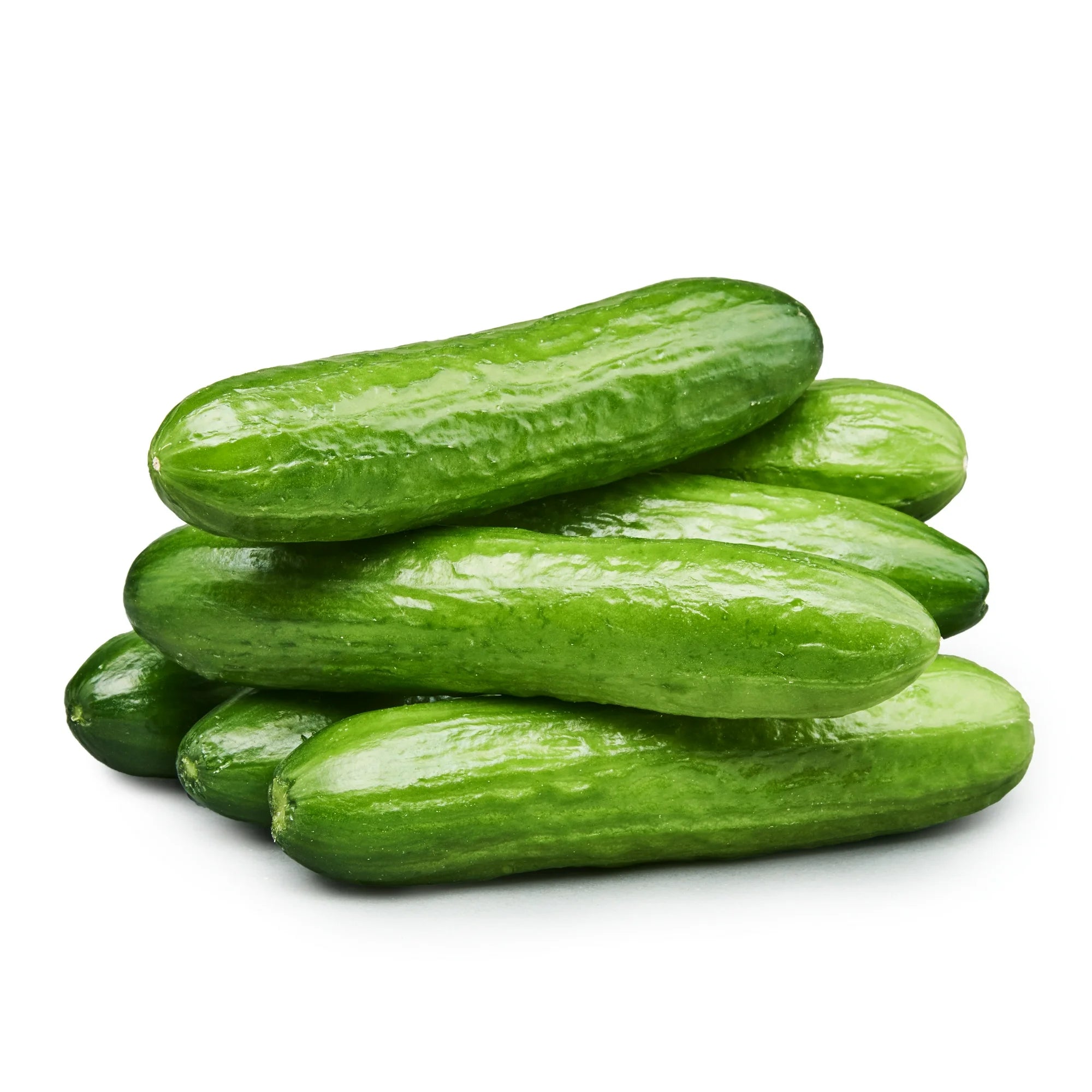 Fresh Mini Cucumbers, 16 oz