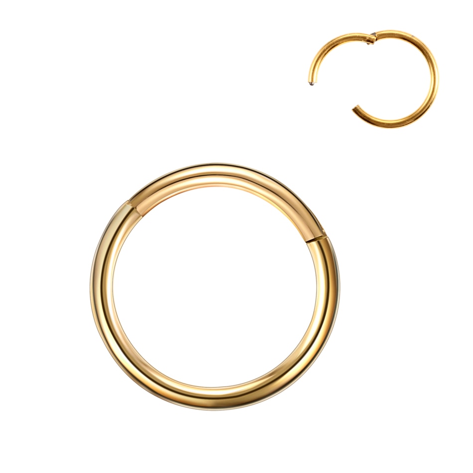 1Pc G23 Titanium Hinged Segment Nose Ring Open Small Septum Piercing Nose Earrings Women Men Ear Nose Piercing Body Jewelry