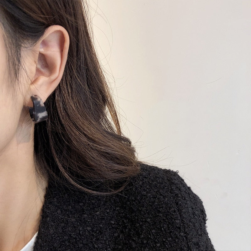 Zebra Pattern Acrylic Earrings