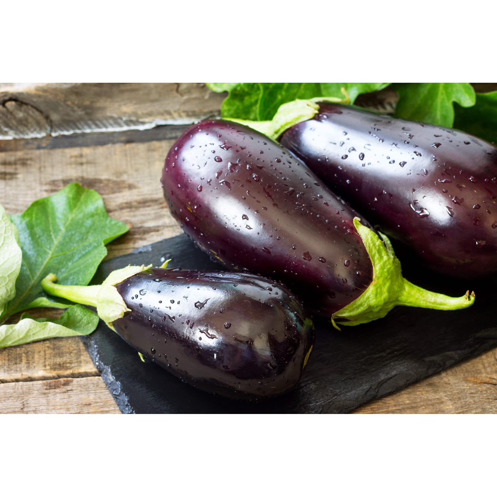 Egg Plant