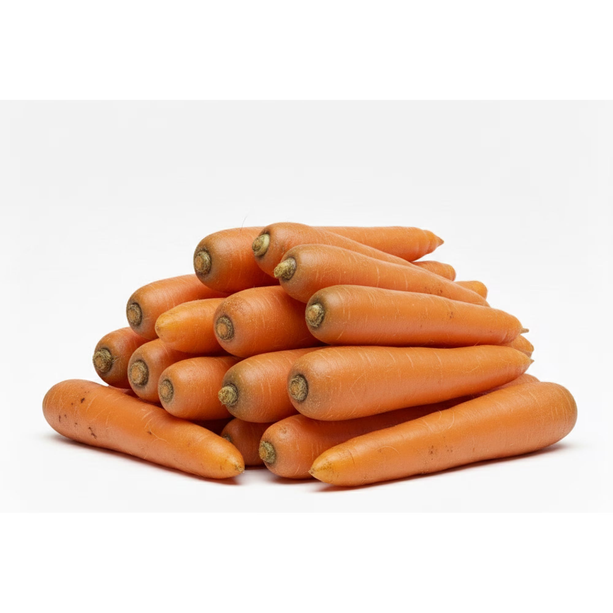 Carrot