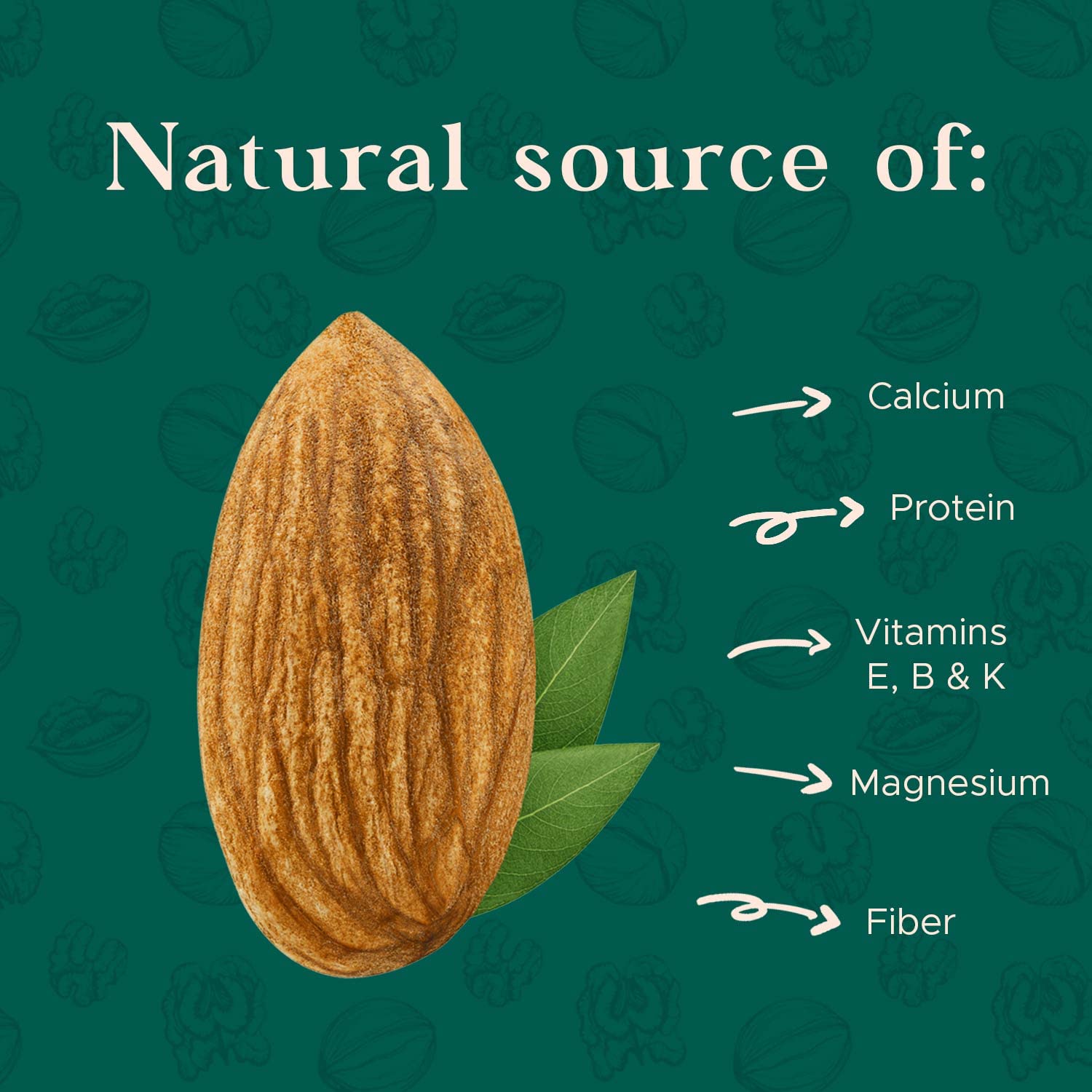Dry Roasted Almonds Unsalted 64 oz (4 lbs) Batch Tested Gluten & Peanut Free No Oil  Whole No PPO  Non-GMO No Herbicide Healthy Protein