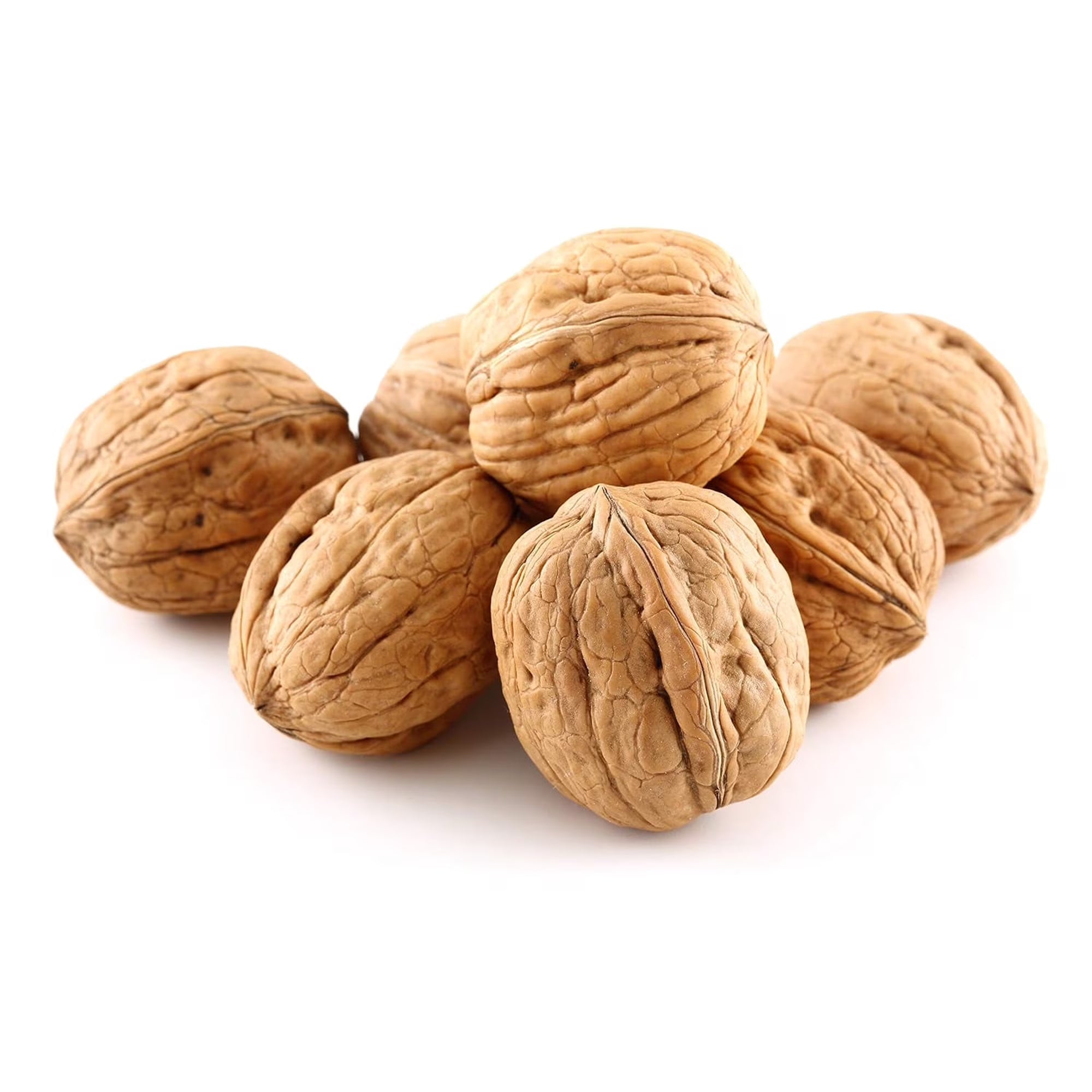 Anna and Sarah Walnuts in Shell, Jumbo, Fresh, Buttery Taste, Easy to Crack, California Chandler, Natural Shells, Not Bleached (5.5 Lbs)