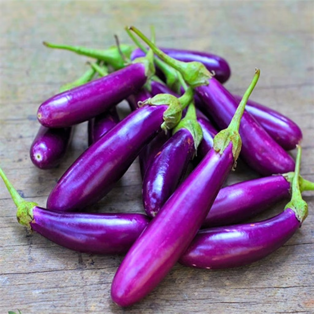 Eggplant, Long Purple Eggplant Seeds, Heirloom, Non GMO, 200 Seeds