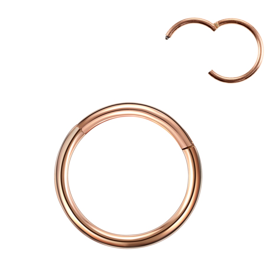 1Pc G23 Titanium Hinged Segment Nose Ring Open Small Septum Piercing Nose Earrings Women Men Ear Nose Piercing Body Jewelry