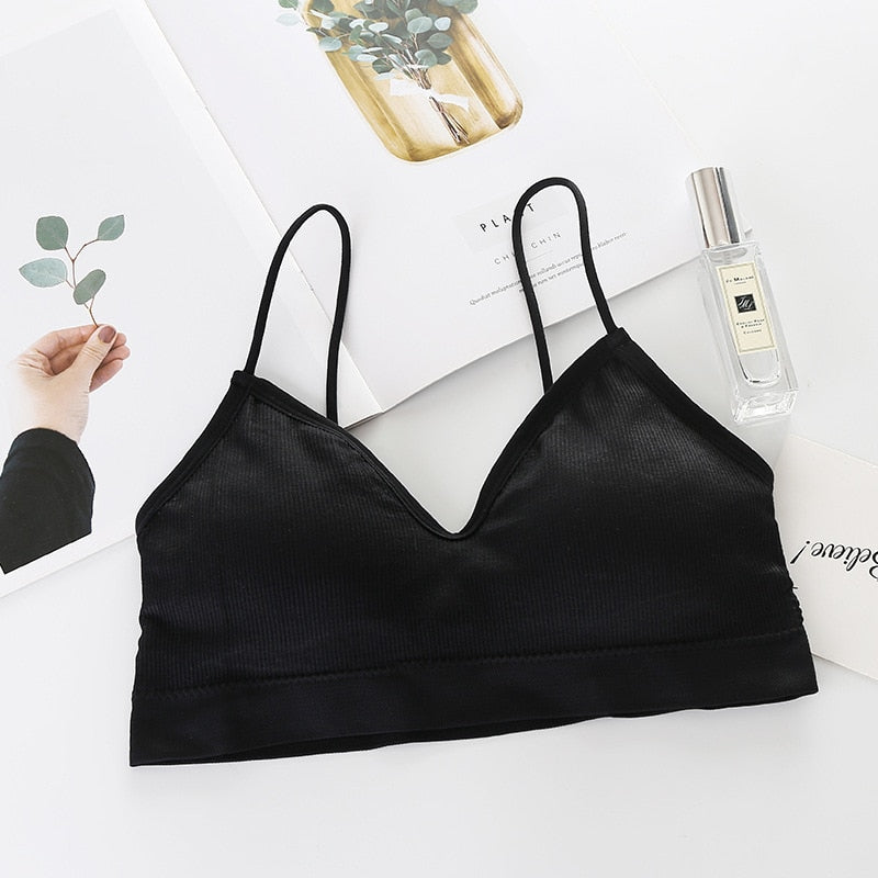 Fitness Sports Bra Women Shockproof Sexy High-Intensity Yoga Bra Bralette Running Gym Vest Cotton Underwear Fashion Beauty Back