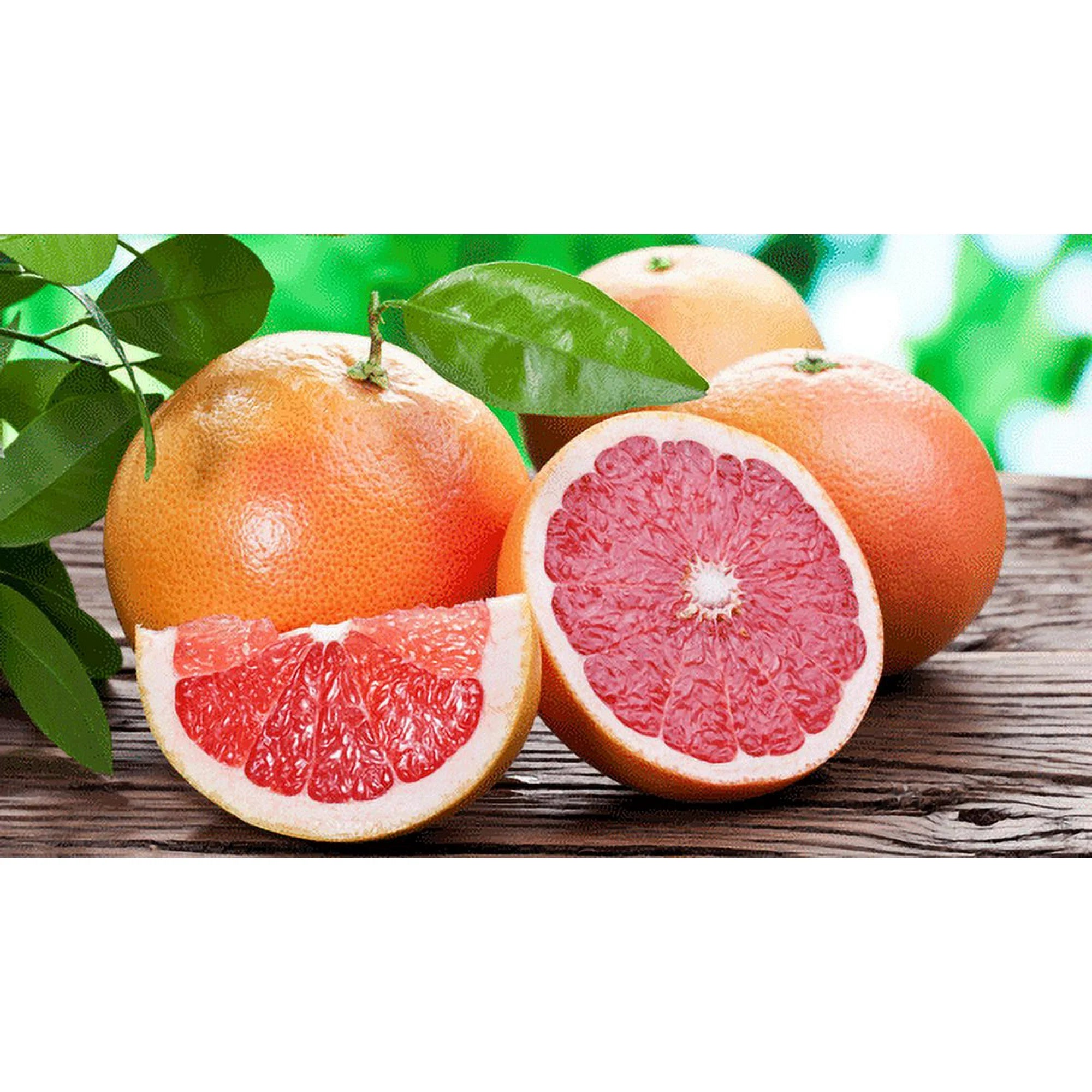 Fresh Organic Grapefruit, 4 lb Bag
