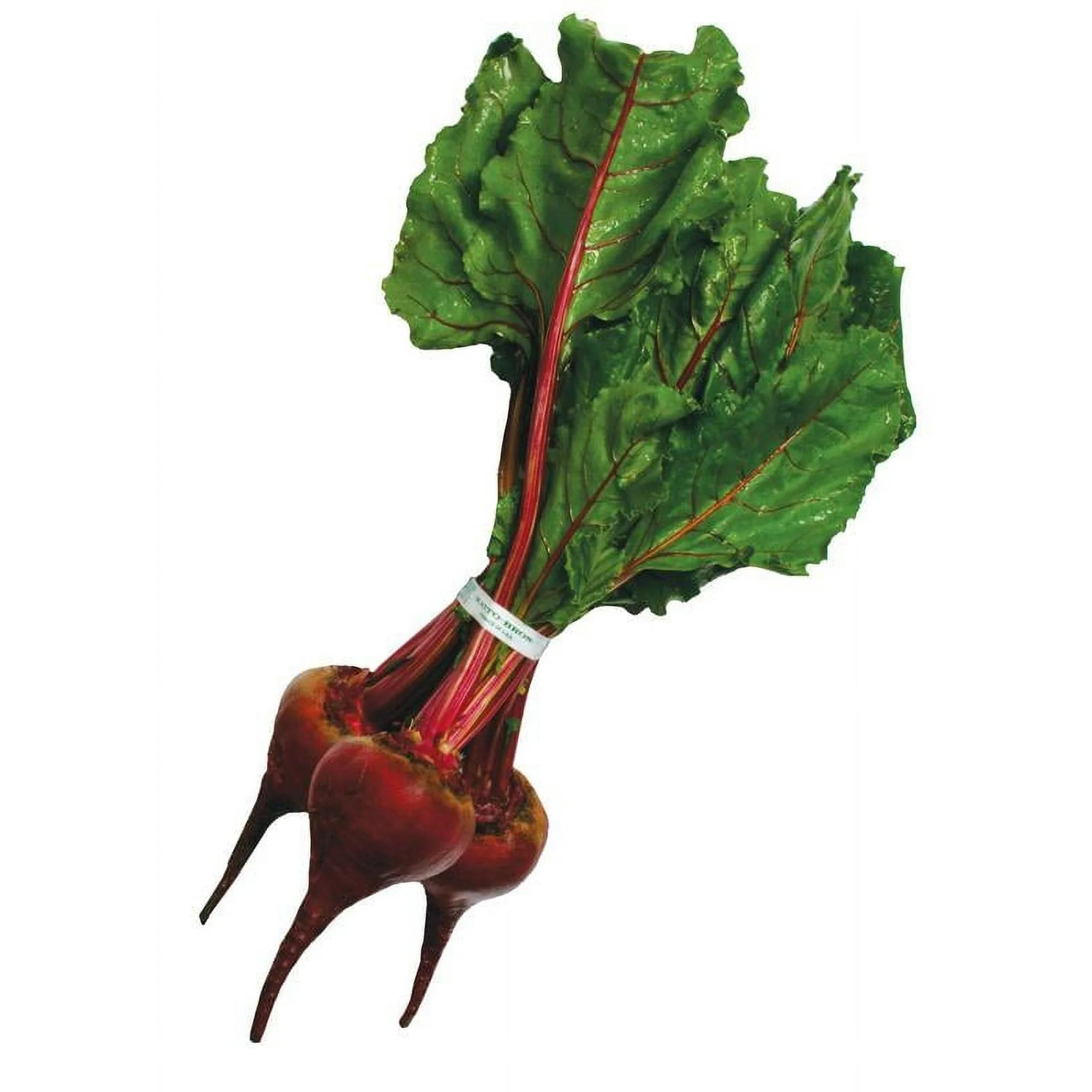 Fresh Whole Red Beets, 1 Bunch Bundle