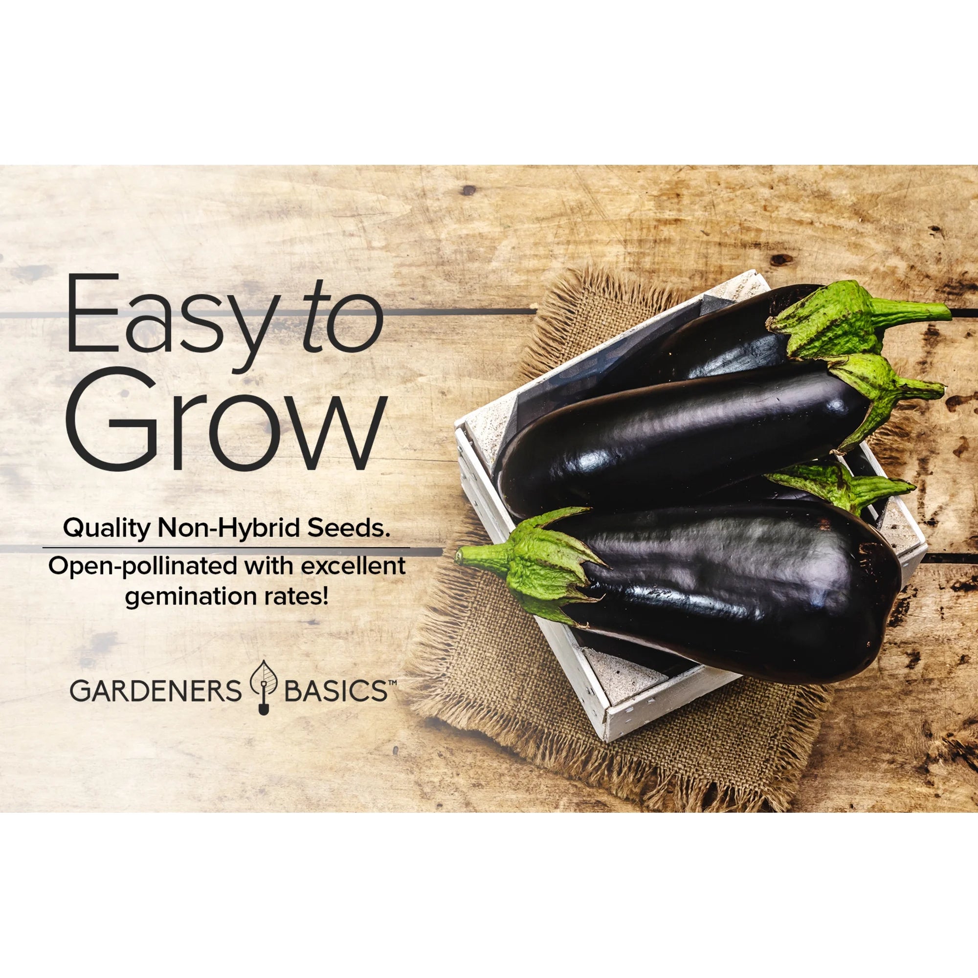 Black Beauty Eggplant Seeds